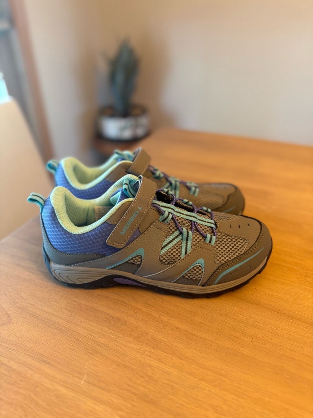 LIKE NEW Merrell Trail Chaser Hiking Shoes Grey Multi Purple (women’s size 7)